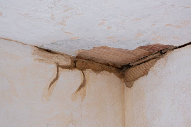 Best Fire Damage Restoration  in Smithfield, VA